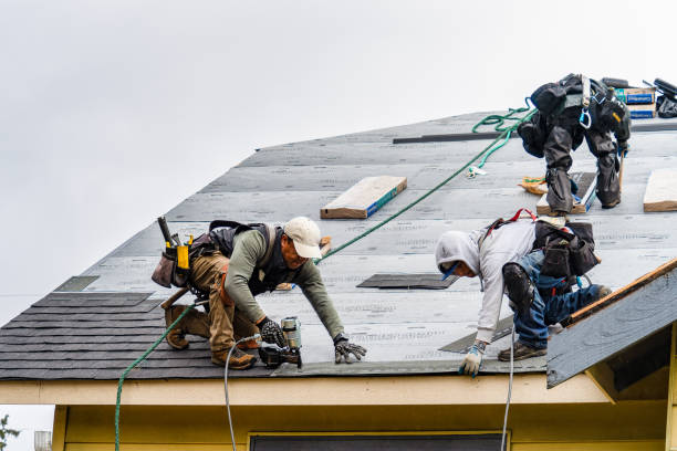 Professional Roof Replacement technician working in Servia, IN